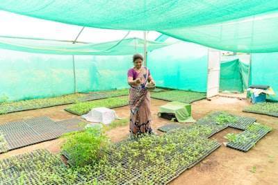 Construyendo el primer Centro de Verificación Laboral Verde del Mundo