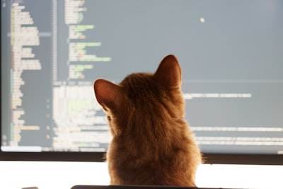 Guía para contratar programadores en San Cristóbal de La Laguna