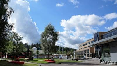 Las 3 mejores empresas de IA en Elche