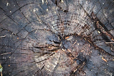 Explotando el desgaste natural para crear ejemplos adversariales