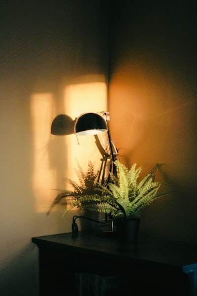 Lecciones clave sobre iluminación