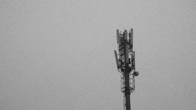 Uso inseguro de Signal en el Departamento de Defensa: informe del Senado