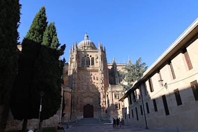 Empresa líder en inteligencia empresarial en Salamanca