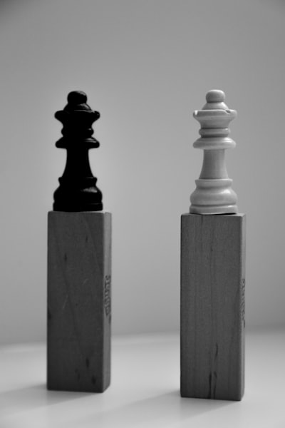 ExpressVPN vs El Resto: El Rey Caro vs Las Bestias Económicas