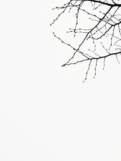 Creando conexiones significativas a través del diseño emocional