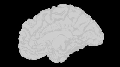 Sondeo neural de TSP para decisiones prescriptivas