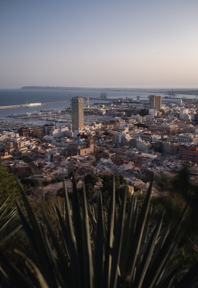 Top 20 empresas de desarrollo iterativo con IA en Alicante