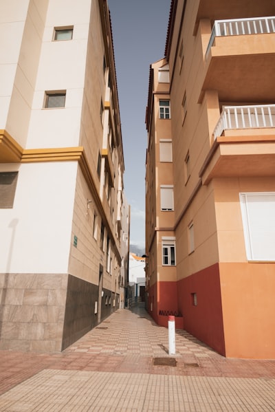 Encuentra bots de Instagram en Torrevieja
