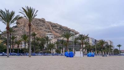 Socio Oficial de Bots SEO en Alicante