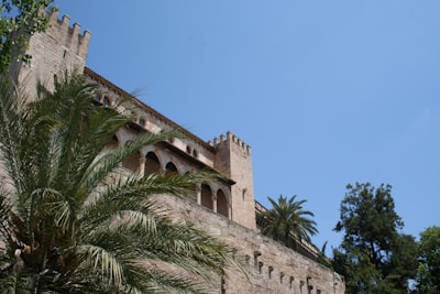 Top 10 Expertos en SharePoint IA en Teams en Palma