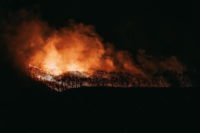 Mining Self-Supervised Temporal Patterns for Wildfire Evacuation Logistics Networks for Low-Power Autonomous Deployments
