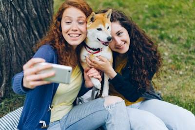 Construyendo conexiones duraderas con mascotas en línea