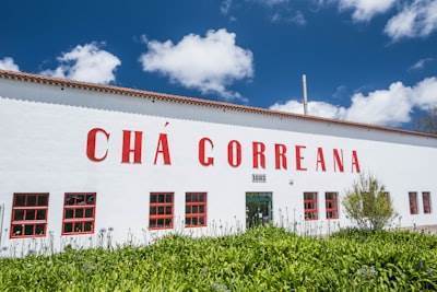 Top 5 Expertos en consultoría tecnológica en Torre-Pacheco