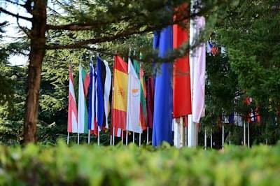 Socio oficial SEO con IA en Europa