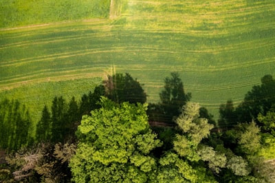 Orquestación y reporte ambiental con agentes inteligentes