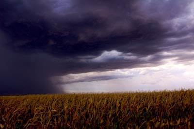 Pronóstico meteorológico inteligente con IA para agricultura