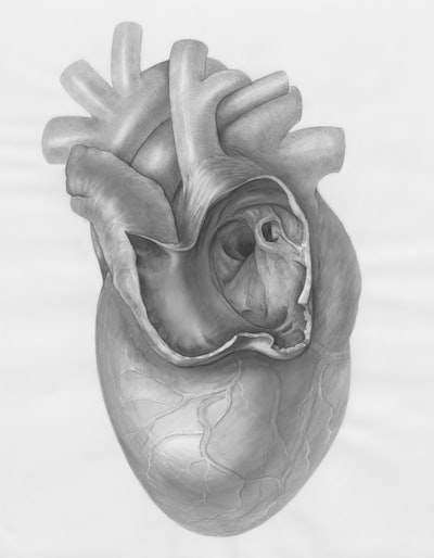 Modelo para series temporales cardiacas con atención latente
