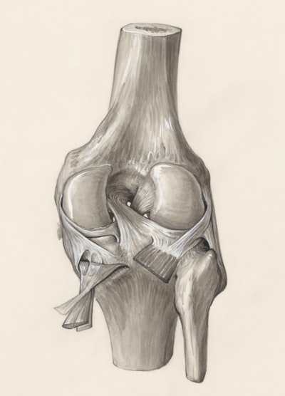 Clasificación de gravedad de osteoartritis de rodilla con deep learning y LLM en sistemas limitados