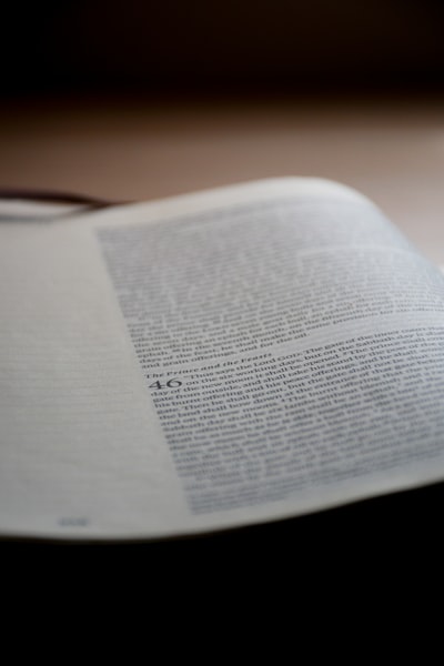 Why PDF Translation Often Breaks Formatting