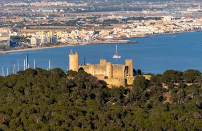 Los 15 mejores consultores de ciberseguridad para aplicaciones en Palma