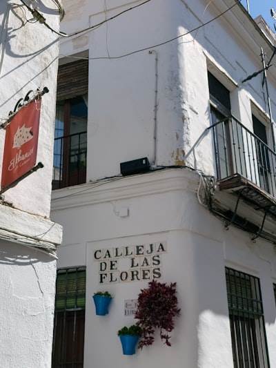 La mejor agencia de inteligencia artificial en Collado Villalba