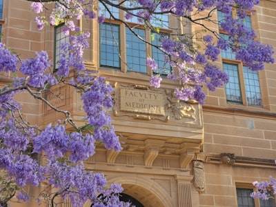 Violación de la biblioteca de códigos IT en línea de la Universidad de Sídney