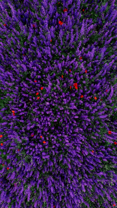 Revelando paisajes conformacionales biomoleculares ocultos