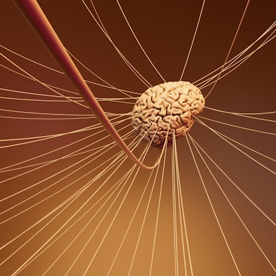 Red neuronal que aprende topología de eventos raros