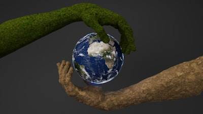 ¿Cómo el software empresarial apoya objetivos ambientales?