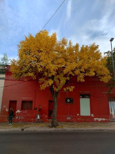 n8n llega a Villanueva de la Serena