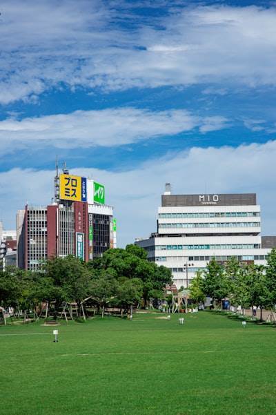 Las 3 principales empresas de IA en Sestao