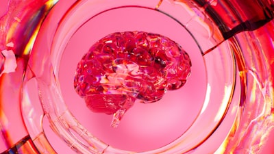 Análisis de tumores cerebrales con inteligencia híbrida.