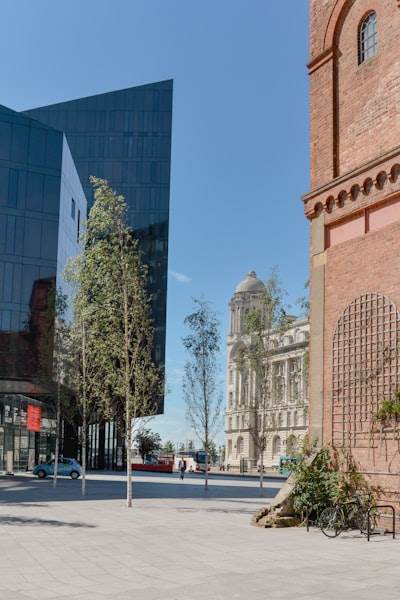 Principales empresas de desarrollo de IA en Alcalá de Guadaíra