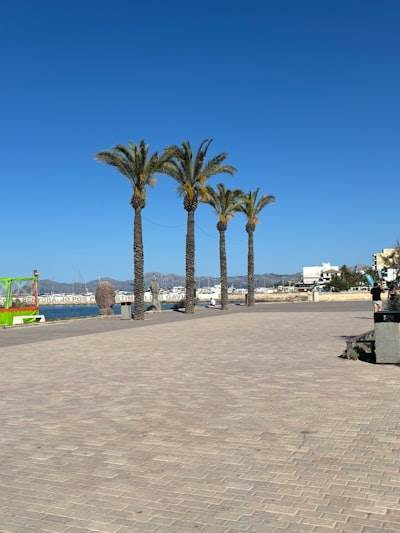 Empresa de n8n en Las Palmas