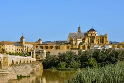Los mejores expertos en software web en Córdoba