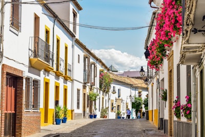 Automatización de procesos de venta en Córdoba