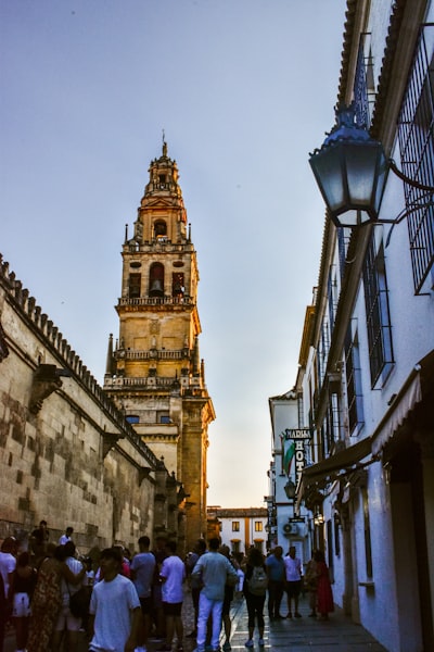 La mejor opción de software web personalizado en Córdoba
