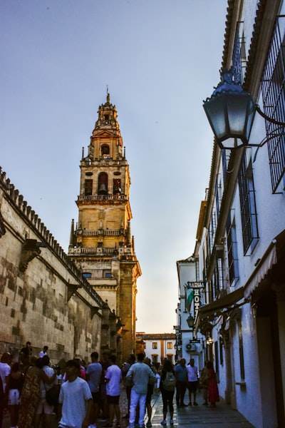 Mejores empresas de servicios de software a medida en Córdoba