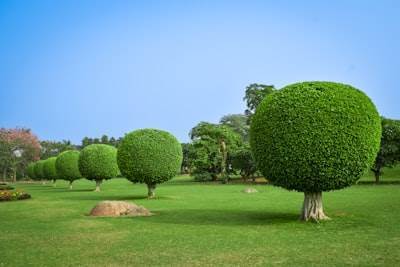Beneficios del software personalizado para empresas de jardinería en 2024