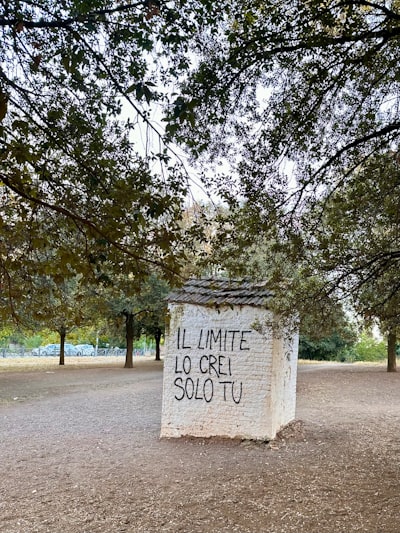 La caca demuestra que la IA no existe