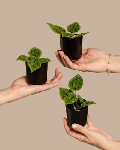 Mejores empresas para automatizar nutrición de clientes potenciales en A Coruña