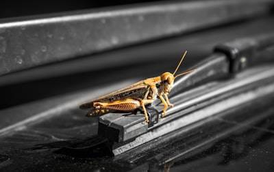Análisis estático de LLVM 21: errores, riesgos UB y refactorización.