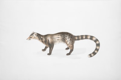 Esquemas y validación con Mongoose en Node.js