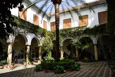 Los 50 mejores expertos en consultoría n8n en Alcázar de San Juan