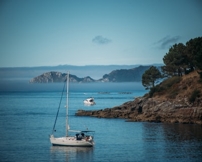 Principales expertos en seguimiento automatizado de vacaciones en Vigo
