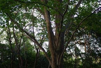 n8n en Alberite