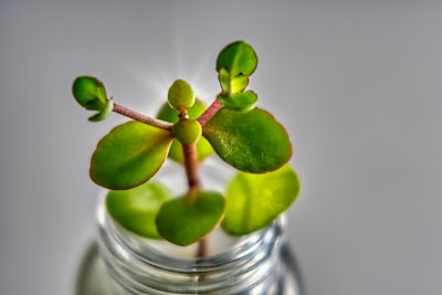 Top 5 Expertos en Automatización de Nutrición de Leads en Santa Cruz de Tenerife