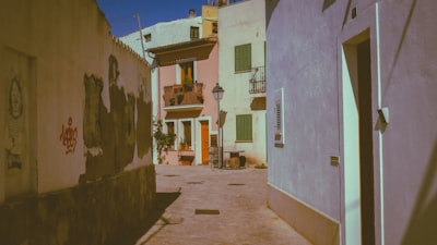Servicios de programación de IA en Palma