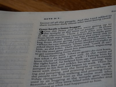 Using the Codex GPT-5.2 API