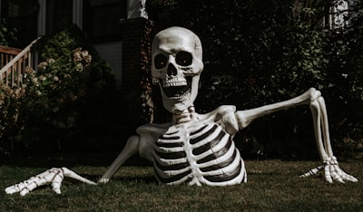 Skelly regresa en 2026 con funciones de voz interactiva